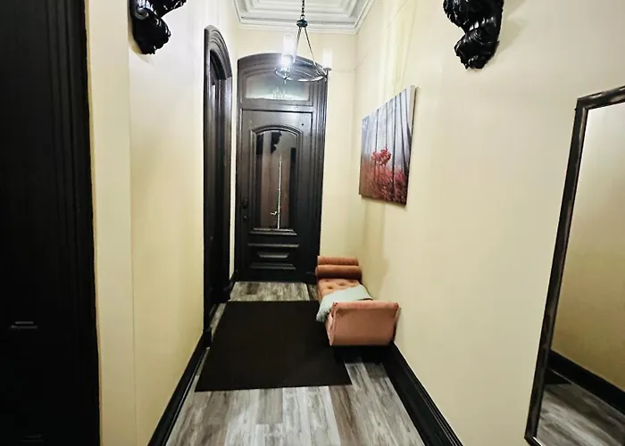 Spacious Apartment Downtown Albany, Ny